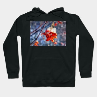 Fire and Ice Bittersweet  4 Hoodie